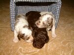 pic_05179.jpg