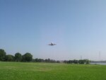 pic_05238.jpg