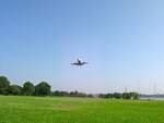 pic_05239.jpg