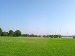 pic_05250.jpg
