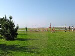 pic_05264.jpg