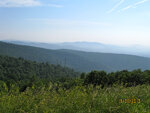 pic_13785.jpg