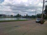 pic_14042.jpg