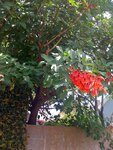 pic_14064.jpg