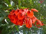 pic_14065.jpg