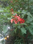 pic_14066.jpg
