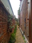pic_14089.jpg