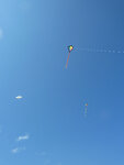 pic_23102.jpg