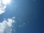 pic_23103.jpg