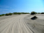 pic_23136.jpg