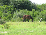 pic_23138.jpg