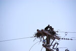 pic_23216.jpg