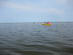 pic_23374.jpg