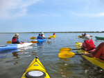 pic_23375.jpg