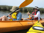 pic_23405.jpg