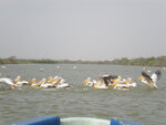 pic_14684.jpg