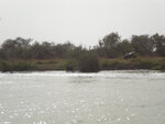pic_14689.jpg