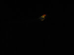 pic_14801.jpg