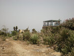pic_14919.jpg