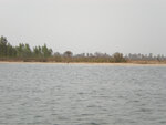 pic_15532.jpg