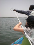 pic_15574.jpg