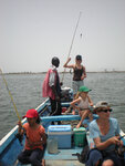 pic_15576.jpg
