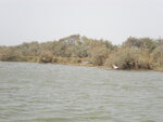 pic_15993.jpg