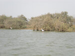 pic_15994.jpg