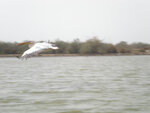pic_15999.jpg