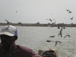 pic_16001.jpg