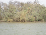 pic_16023.jpg
