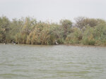 pic_16024.jpg