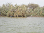 pic_16025.jpg