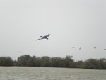 pic_16026.jpg