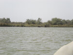 pic_16027.jpg