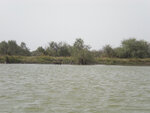 pic_16028.jpg