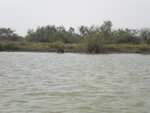 pic_16029.jpg
