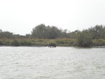 pic_16030.jpg