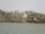 pic_16034.jpg