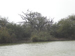 pic_16035.jpg