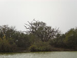 pic_16036.jpg