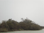 pic_16037.jpg