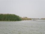 pic_16039.jpg