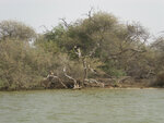 pic_16040.jpg