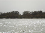 pic_16044.jpg