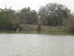 pic_16047.jpg