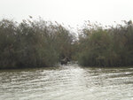 pic_16055.jpg