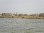 pic_16060.jpg