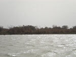 pic_16066.jpg