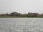 pic_16117.jpg